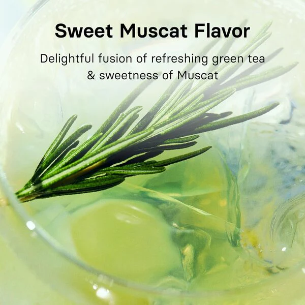 [Cold Brew Bundle] OSULLOC Sunset Peach, Honey Pear, Muscat Cold Brew Tea (60ea) - Image 5