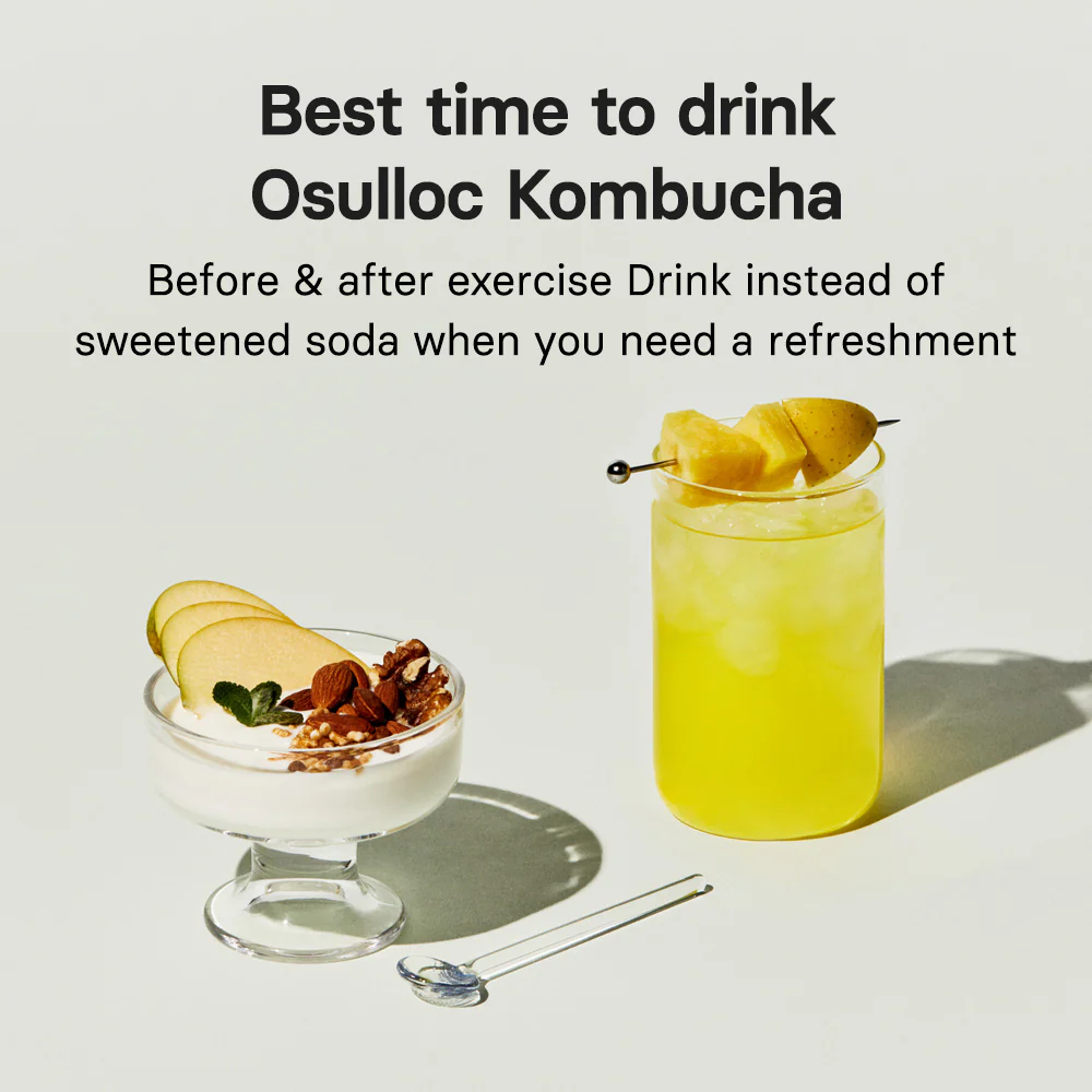 OSULLOC Kombucha Apple Pine (10 ea) - Image 5
