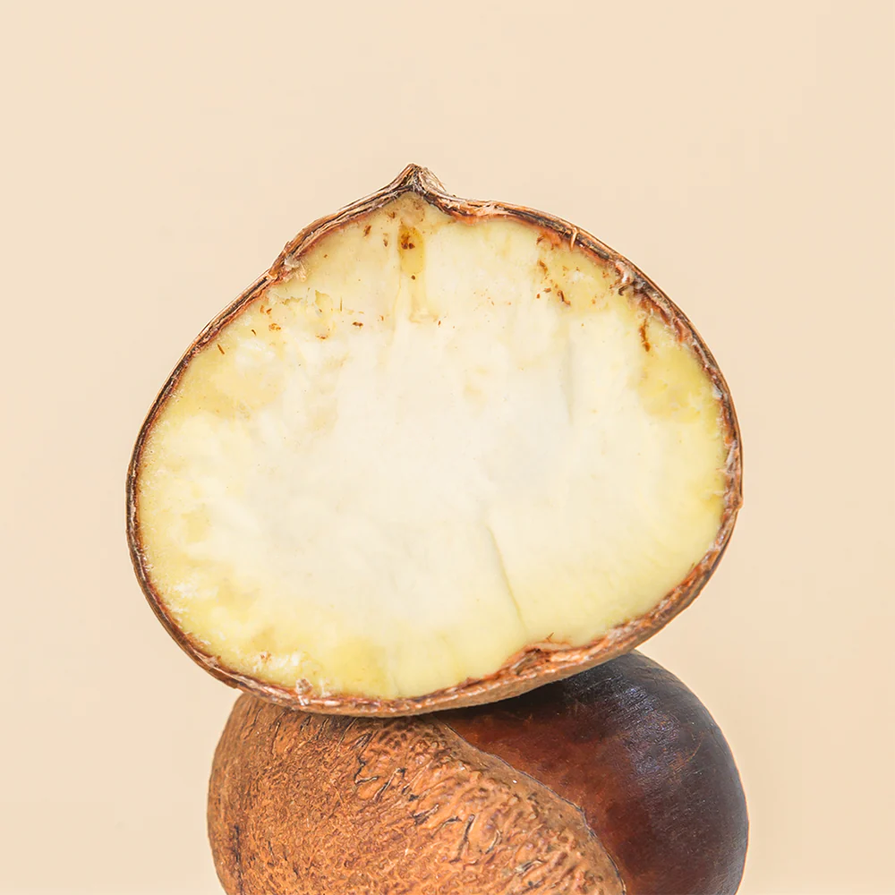 HANYUL Chestnut Shell Pore Clear Mask 100ml - Image 13