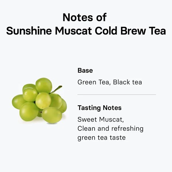 OSULLOC Sunshine Muscat Cold Brew Tea (20ea) - Image 4