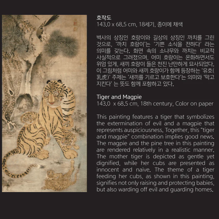 APMA Tiger Griptok - Image 3
